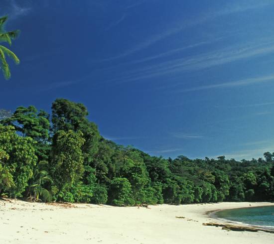 Puerto Viejo Carbien