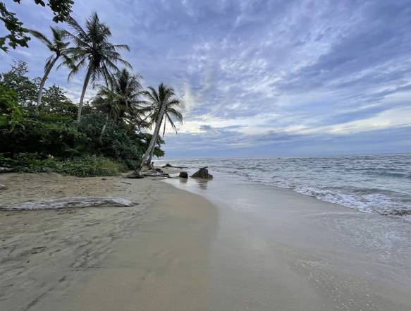Playa Cocles, Playa Chiquita