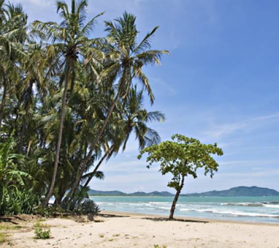 Monte Verde stranden