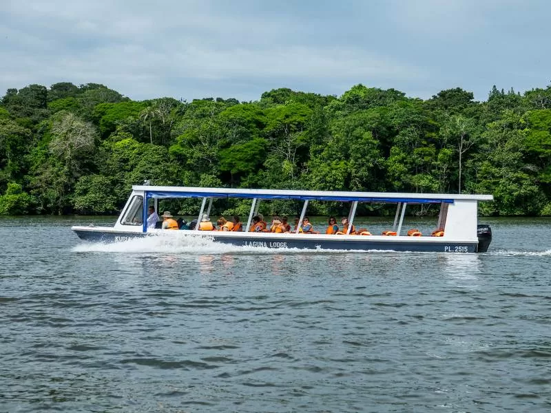 Jagur i Costa Rica national park