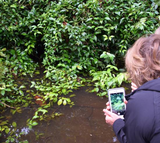 Monteverde Costa Rica