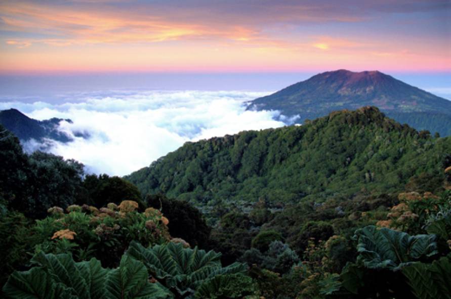 Costa Rica