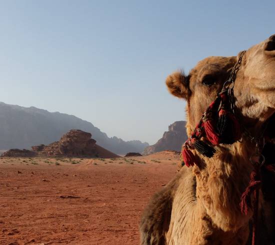 Afrejse København til Amman, Jordan
