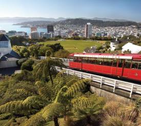 Wellington, New Zealand