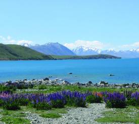 Lake Tekapo New Zealand