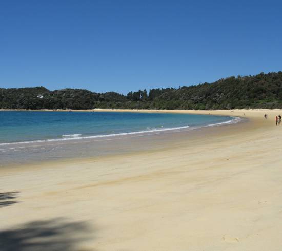 Kyst og strand på New Zealand