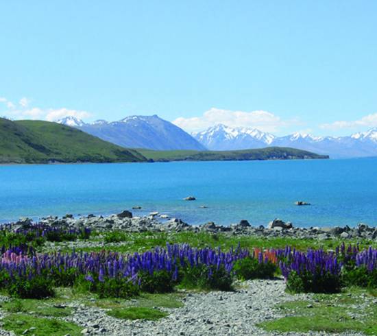 Lake Tekapo New Zealand