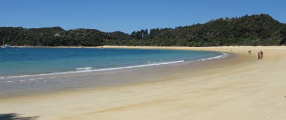 Kyst og strand på New Zealand