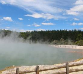 Varme kilder i Rotorua
