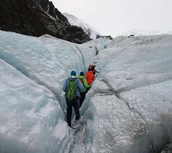 Fox Glacier vandretur