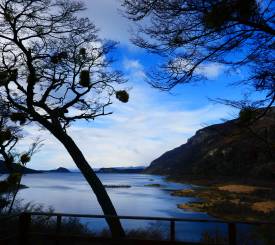 Tierra del Fuego i Ildlandet
