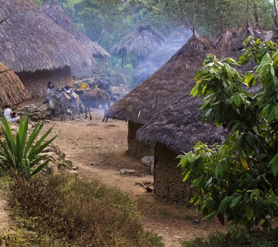 Machete Pelao, start på trekking ind til The Lost City