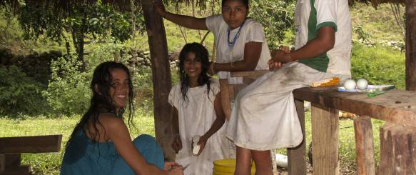 Lost City Trek - dybere ind  i junglen