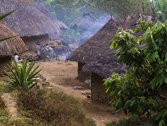 Machete Pelao, start på trekking ind til The Lost City
