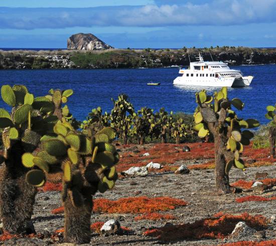 Galapagos og Peru rejse