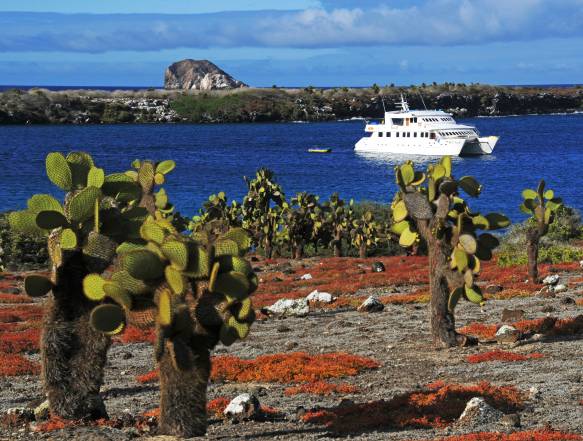 Galapagos og Peru rejse