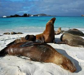 Ecuador-Galapagos