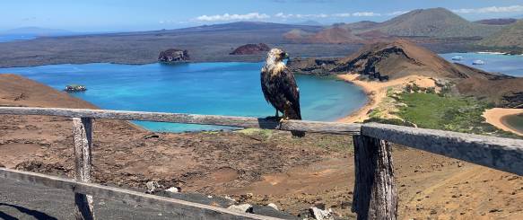 Ecuador-Galapagos Bartolome