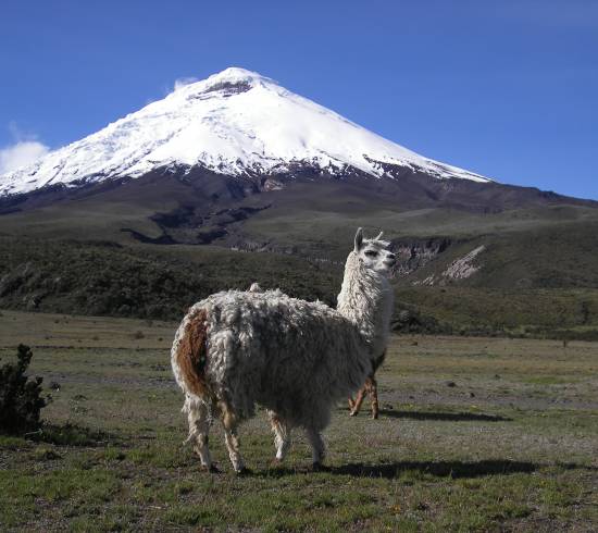Ecuador og akklimatisering
