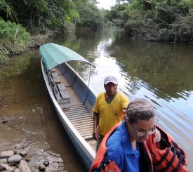 amazonas kano