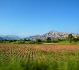 Langs Stillehavskysten til Paracas