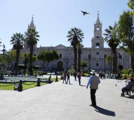 Arequipa