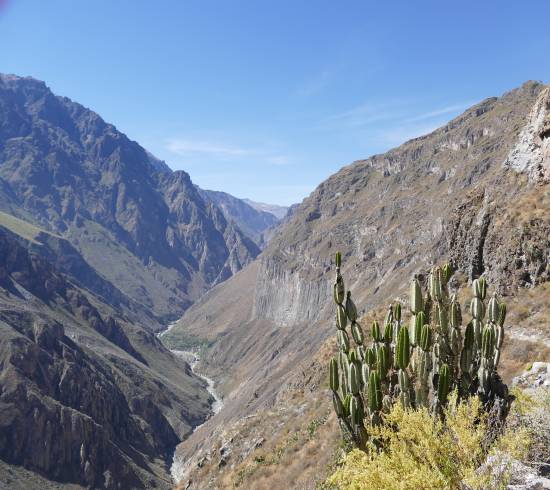 Colca kløften