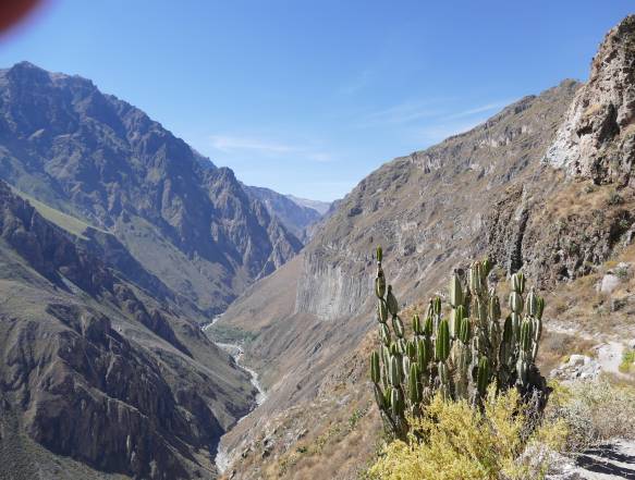 Colca kløften