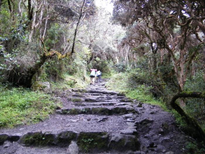 Inkastien trek