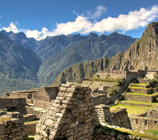 Lama på Machu Picchu Peru