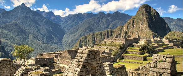 Lama på Machu Picchu Peru