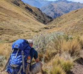 Tomacaya trekket starter