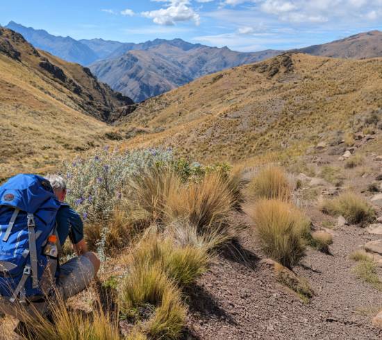 Flotte Huchuy-Qosqo trekkingtur