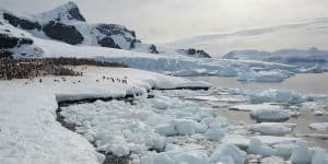 Antarktis er meget koldt