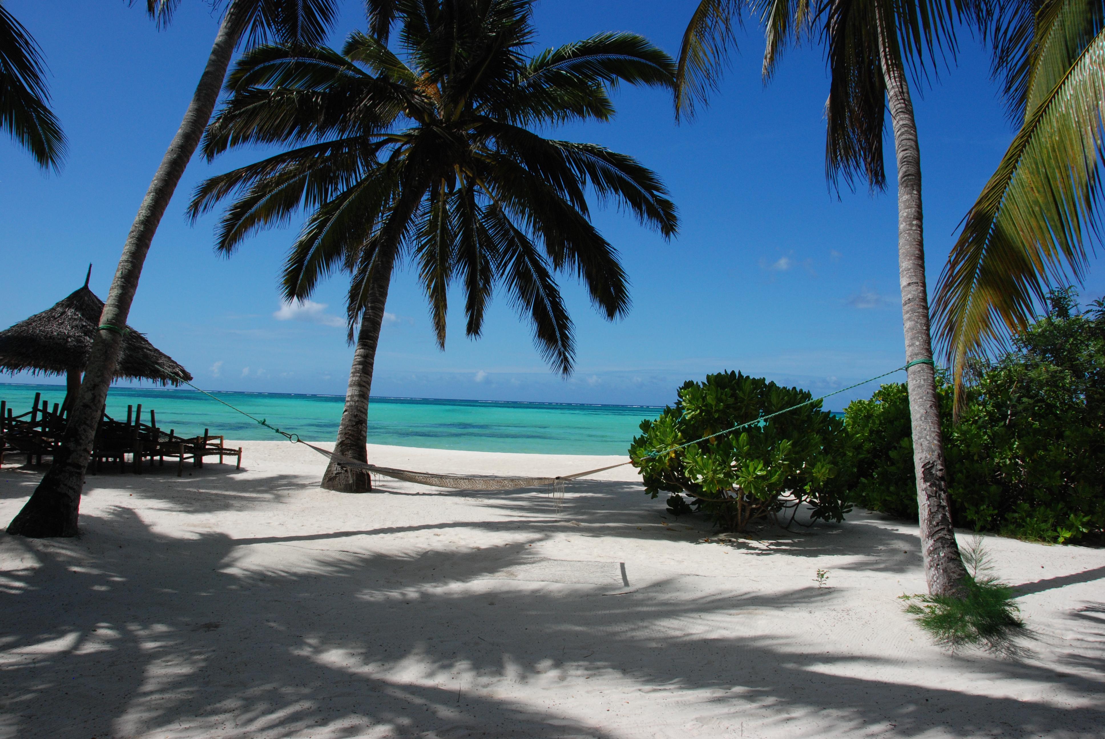 safariferia i afrika