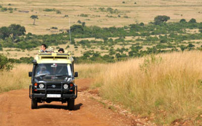 Rejs med Jeep gennem Spurwing i Kenya