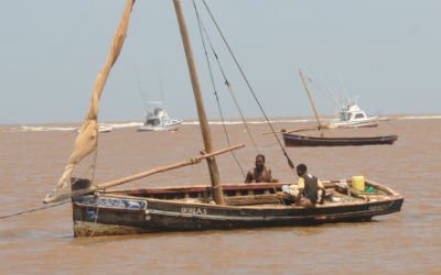 Rejser langs det indiske ocean