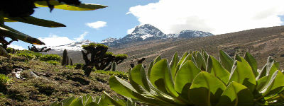 Tag på trekking rejse til Kenya