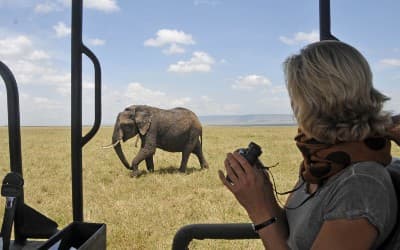 Kvinde i jeep på safari i Kenya