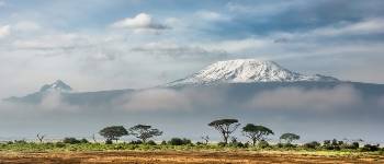 Prisen for at bestige Kilimanjaro er høj