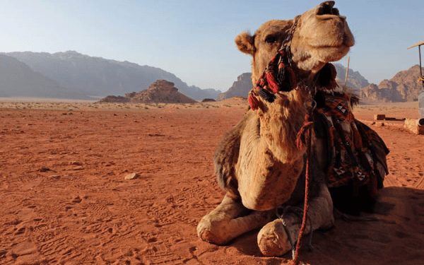 Tag på ørkenvandring i Marokko