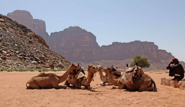 rid på kameler, når du rejser til Marokko
