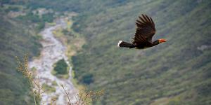 Oplev Lake Edwards Flats på din rejse til Uganda og Rwanda