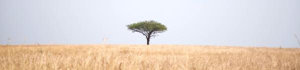 Oplev Murchison Falls Nationalpark på din rejse til Uganda og Rwanda
