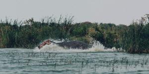 Oplev Victoriasøen på din rejse til Uganda og Rwanda