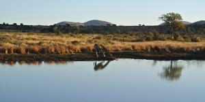 Oplev Victoriasøen på din rejse til Uganda og Rwanda