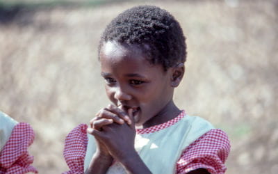 Oplev Port Elizabeth, når du rejser til Sydafrika