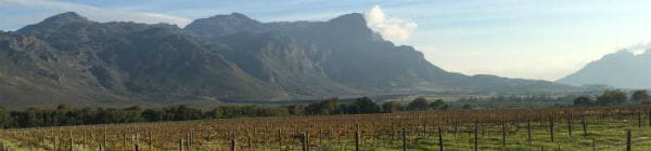 Der er mange vinmarker i Sydafrika