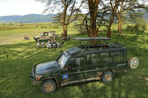 Jeep på Game Drive Safari i Sydafrika