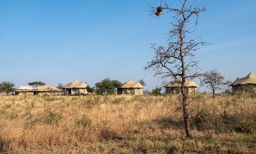 Hytter på savannen i Tanzania